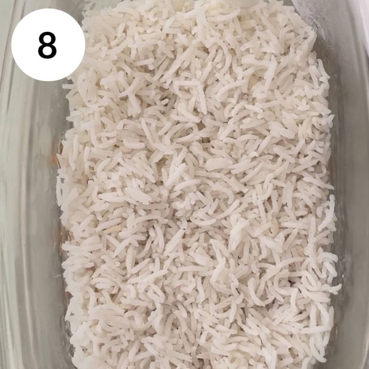 adding a layer of rice.