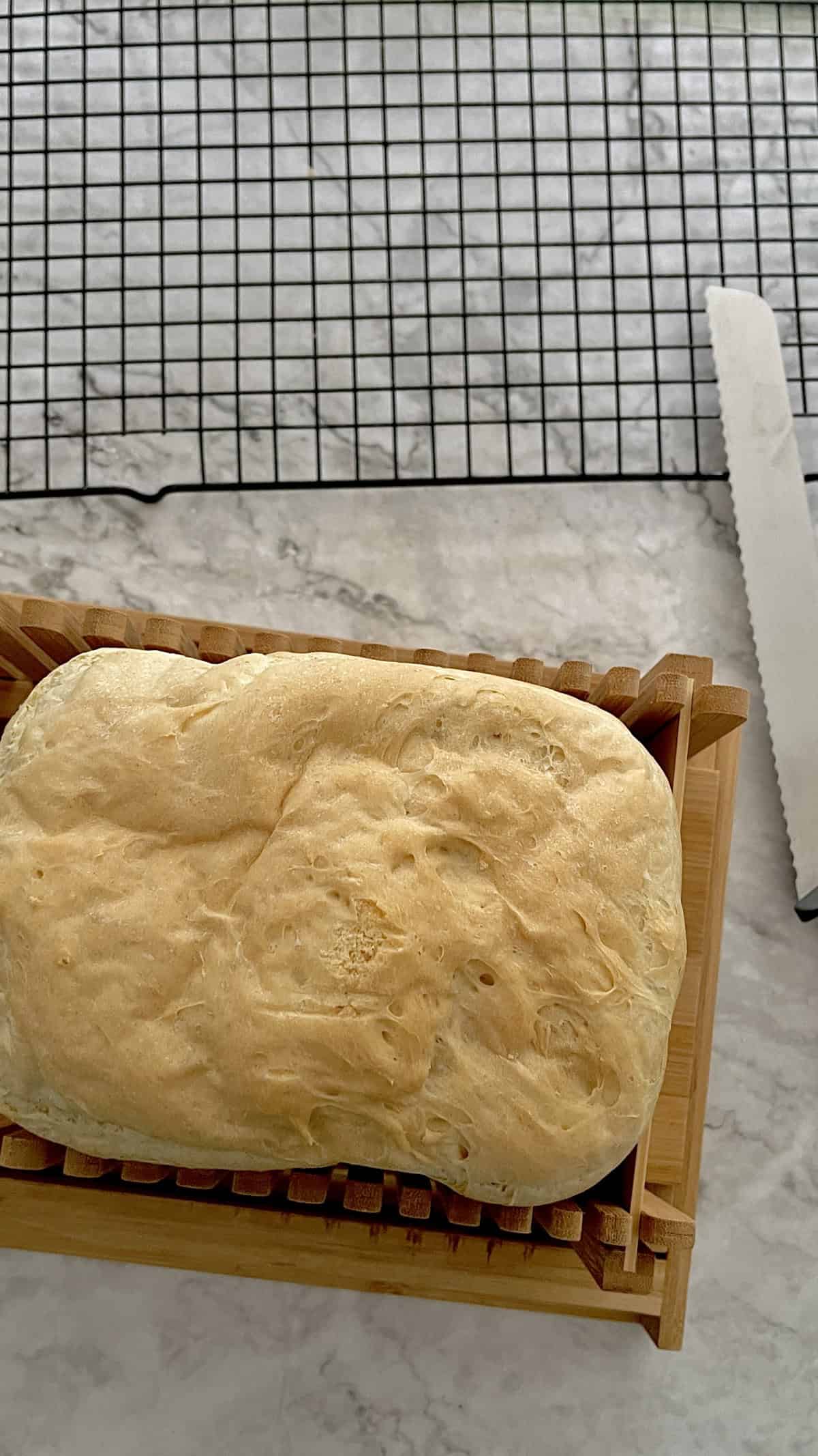 fresh homemade bread, in bread cutter.