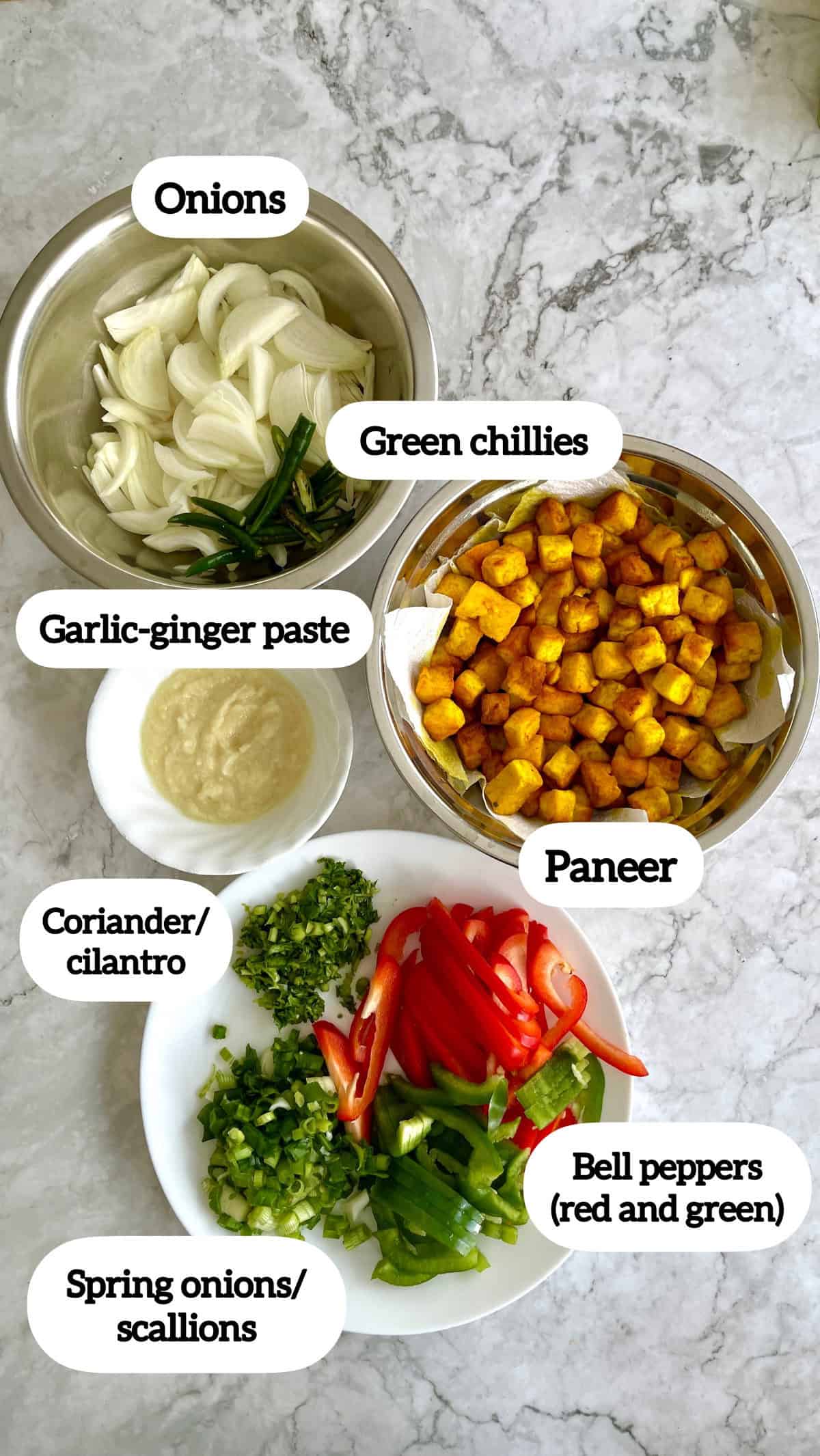 labelled ingredients to make chilli paneer.