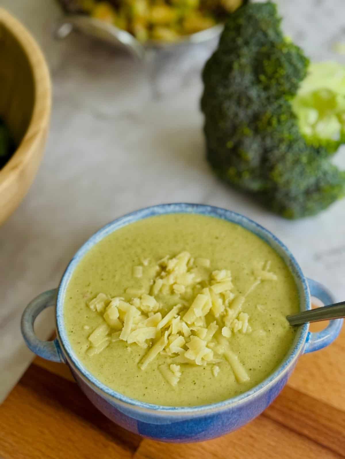 broccoli and cheddar soup in blue bowl, topped with cheese, broccoli in background.